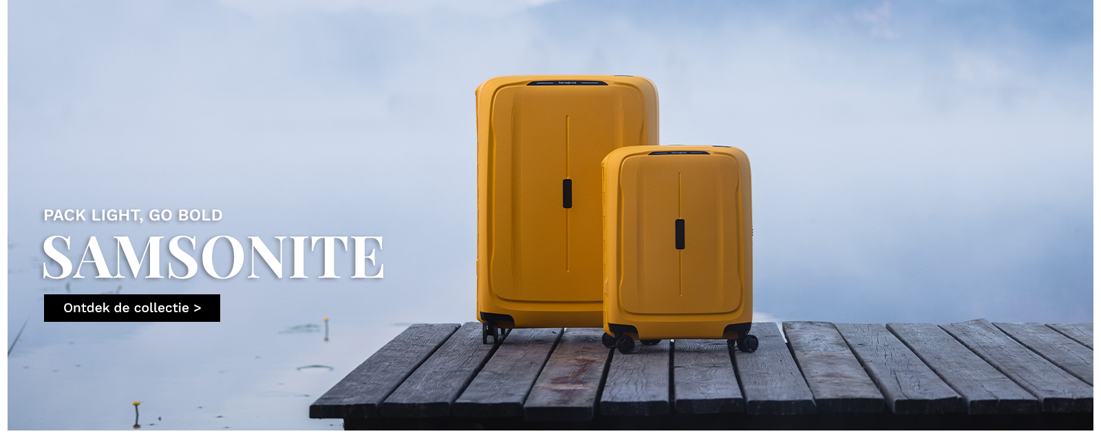 Samsonite Reisbagage Van Os tassen en koffers