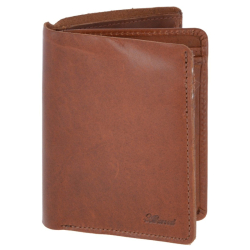 Ashwood Leather oily hunter bruin
