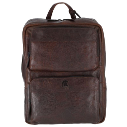 Pylos59 sarda bruin