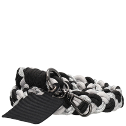 Beagles beagles zwart