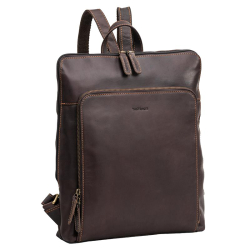 The Monte the monte bruin