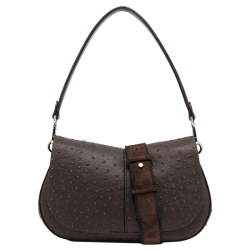 Gianni Chiarini helena round bruin