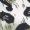 Dugros Dugros print