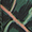 Dakine Campus print