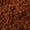 Rise of Rosa Brenton cognac