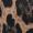 Steve Madden Bvital print
