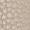 Charm London Charm London champagne