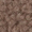 Zebra Trends Teddy bruin