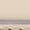 The Bridge Ginevra beige