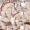 Allan K Kirsten Mini Canope champagne