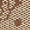 Guess Neda print