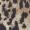 Kipling Gabb print
