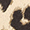 Enrico Benetti Jill print