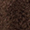 Charm London Alaska bruin