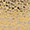 Charm London South Hill goud
