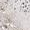Flora & Co Milou zilver
