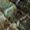 Secrid Miniwallet Serpent groen