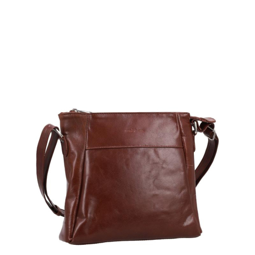 The Monte The Monte bruin