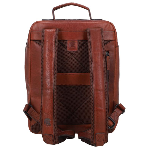 Pylos59 Buff Oily bruin