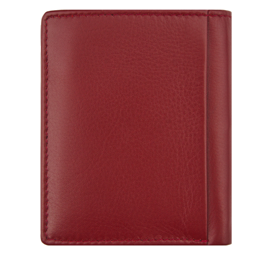 Riccardo Ferducci De Medici rood