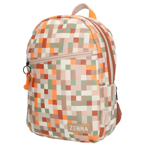 Zebra Trends Pixels print