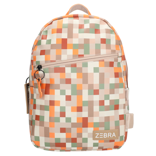 Zebra Trends Pixels print