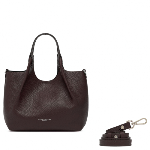 Gianni Chiarini Dua bruin
