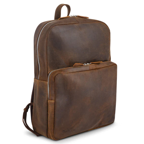 Plevier Sheffield bruin