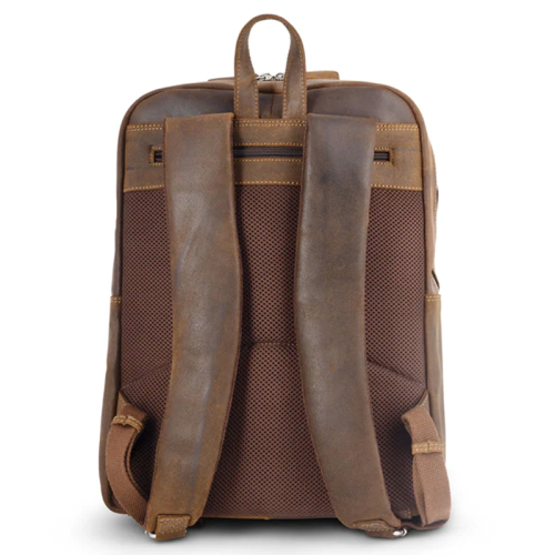Plevier Sheffield bruin
