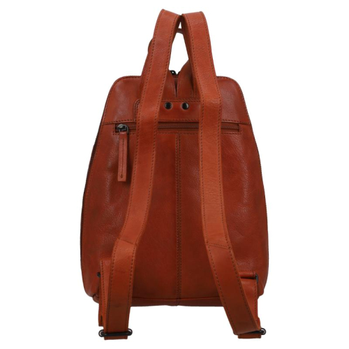 Van Os Tampa cognac